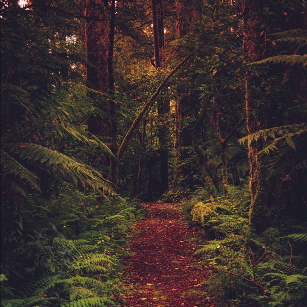 Meet your Posher, Audus